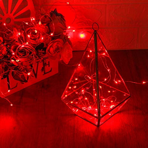 String Lights (10 Foot)