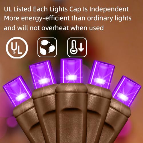 25FT Purple Halloween String Lights (50 Count)