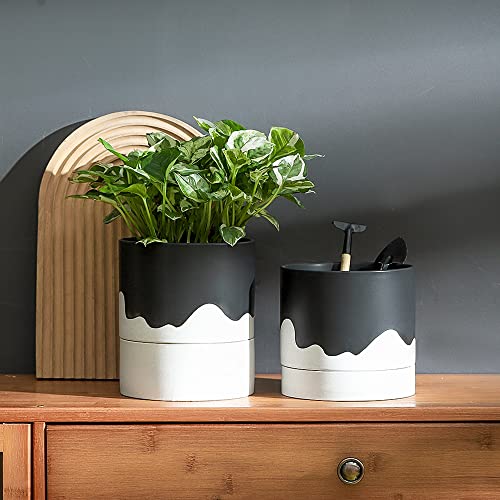 Ceramic Self Watering Plant Pot for Indoor Plants