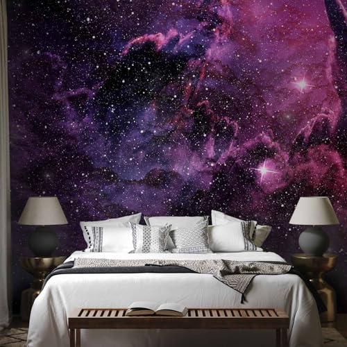 Premium Wall Mural Wallpaper (148 Sq Ft)