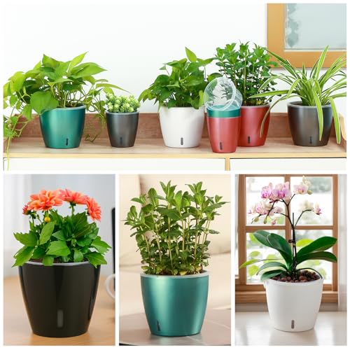 Self Watering Pots for Indoor Plants