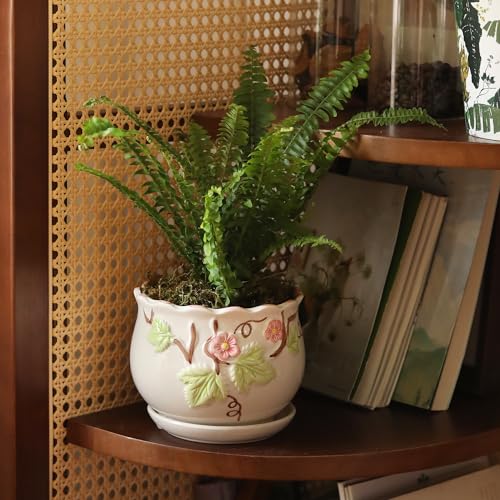 Ceramic Plant Pots with Drainage Holes and Saucers (3 Count)