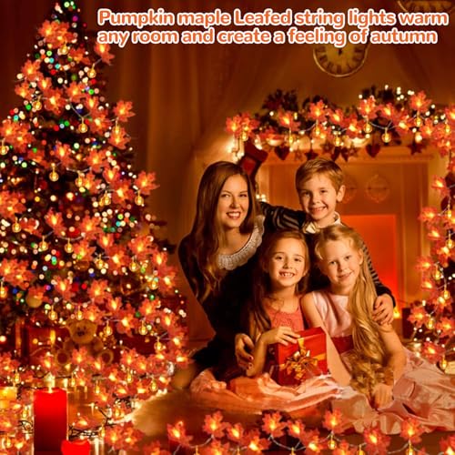 2 Pack Fall Garland with Pumpkin Lights Total 40LED 20Ft Battery Operated (2 Count)