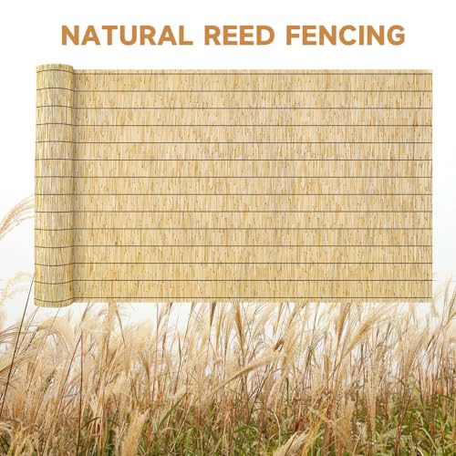 Reed Fencing Rolls Natural Bamboo Fence 4 Feet High Privacy Screen Curtains Fence for Balcony Patio Garden Backyard Shades Outdoor 4FT X 16.4FT （Yellow） (65.6 Sq Ft)