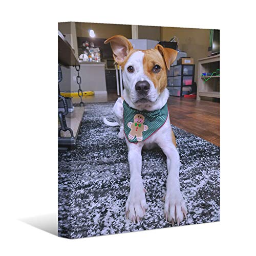 Custom Canvas Prints with Your Photos 24"x32"