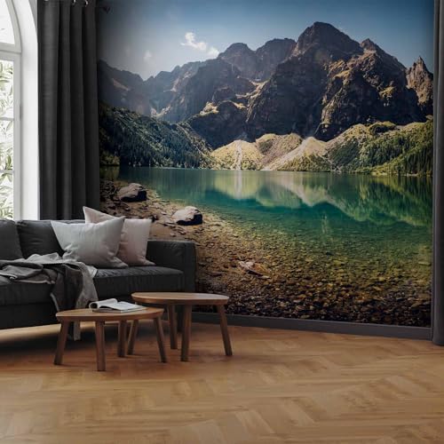 Wall Mural Wallpaper