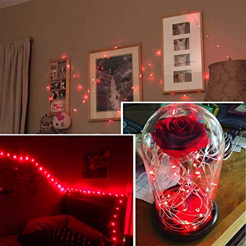 Led Fairy Lights Battery Operated (32 Foot)