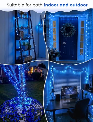 Blue Christmas Lights (13 Foot)