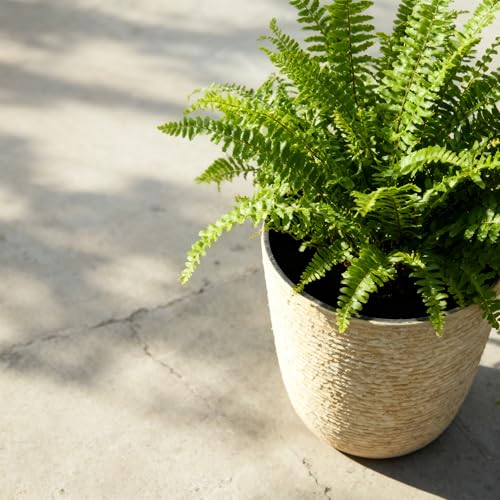 9 Gallon Tall Round Planters Set of 2 (2 Count)