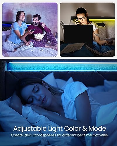 Queen Bed Frame