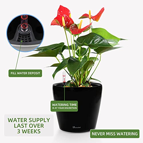9x8 Self Watering Planter