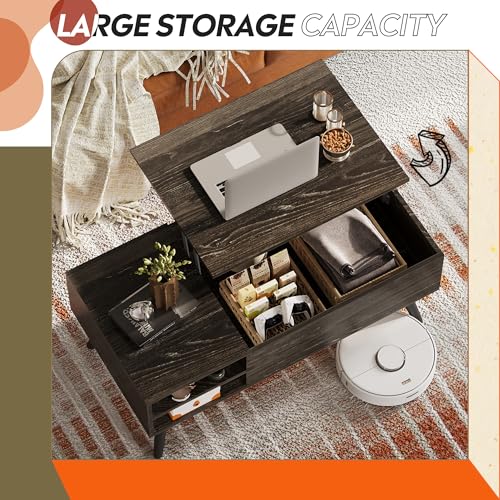 Lift Top Coffee Table with Hidden Storage