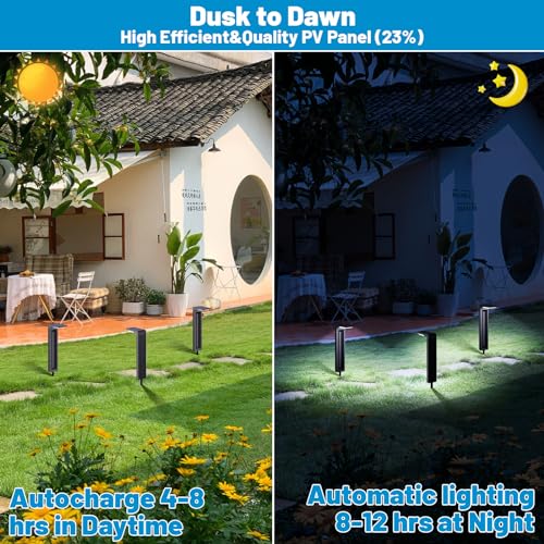 Sunvivo Bright Solar Path Lights (8 Count)