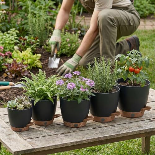 5 Pack Easy Plant Self Watering Pots for Indoor Plants (5 Count)