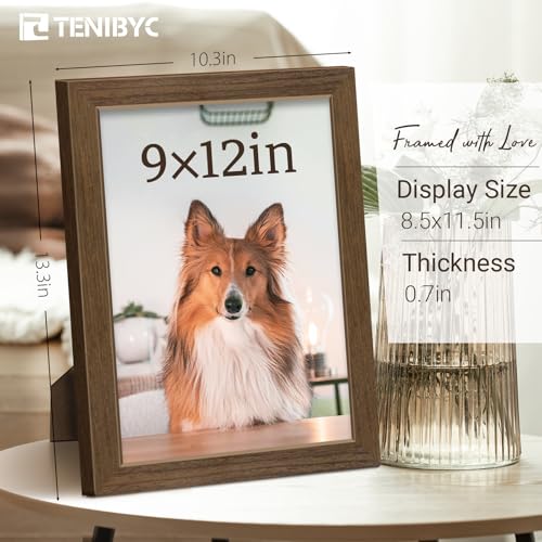 9x12 picture frame 3 Pack (3 Count)