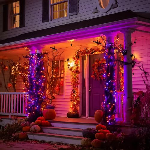 Halloween String Lights