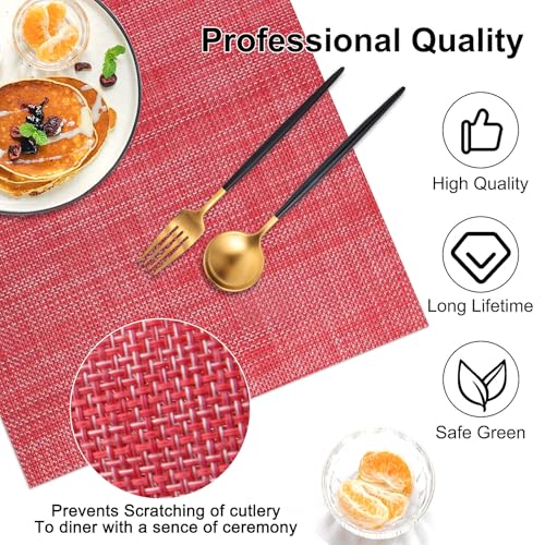 Vinyl Placemats Set of 6 (4 Count)