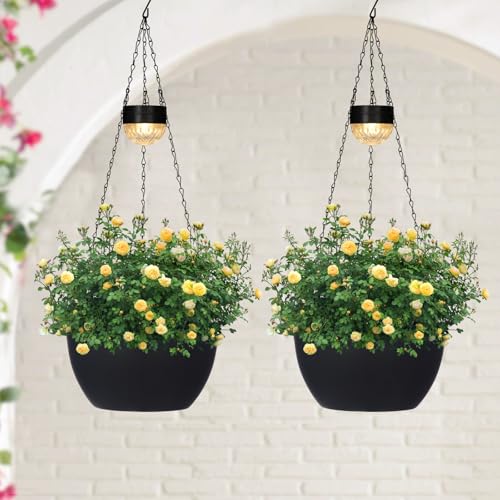 2 Pack Solar Hanging Planters for Plants Outdoor (2 Count)