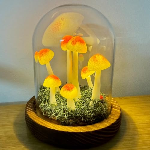 Mushroom Lamp (20 Count)