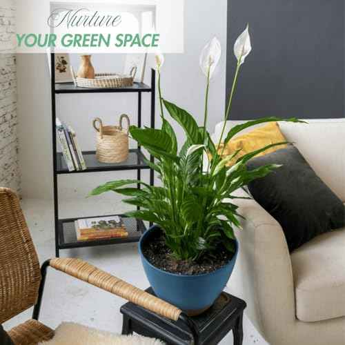 12/10/8 Inch Self Watering Pots for Indoor Plants Plastic Large Plant Pots for Outdoor Plants, Water Level Window & Spacious Reservoir Flower Pots Decorative Planter with Drainage and Tray (3 Count)