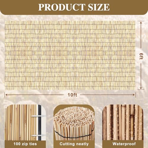 Reed Fencing Rolls (60 Sq Ft)