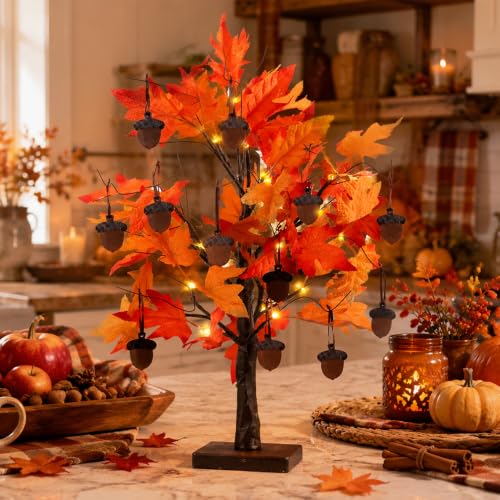 Fall Decorations for Home
