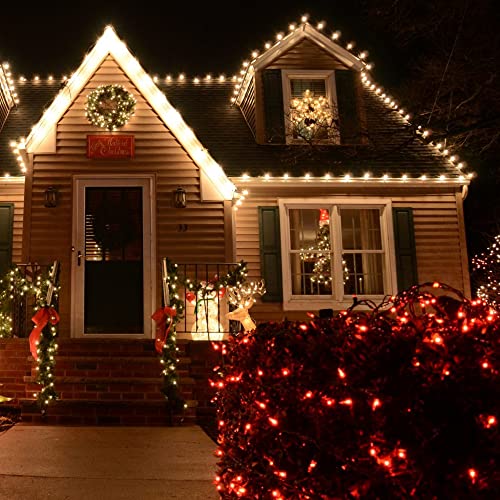 Valentine's Day Red Lights (20 Foot)
