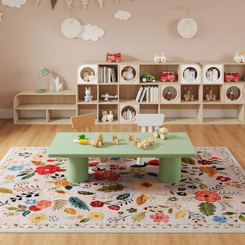 Area Rug 6x9 Washable