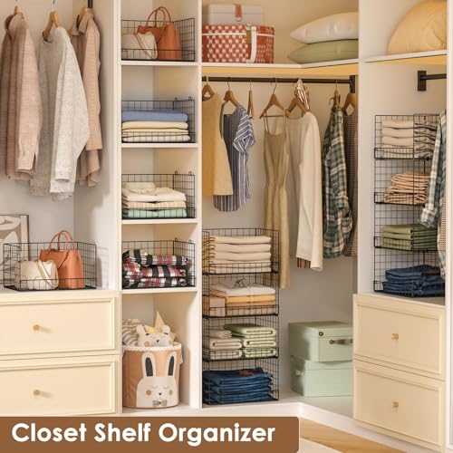 4 Tier Stackable Closet Organizers and Storage Shelves