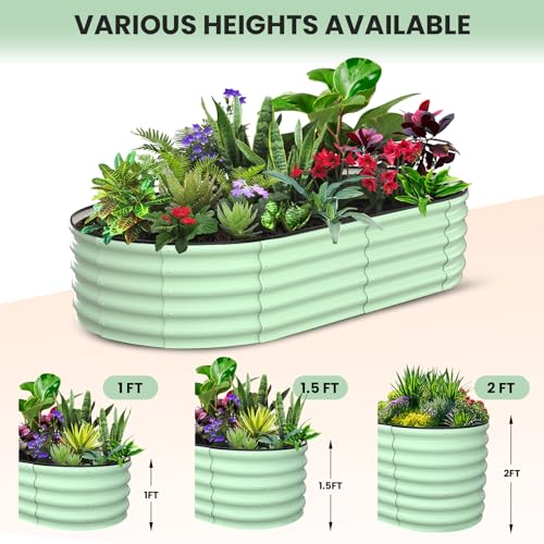 2 Pcs 6x3x1 ft Oval Raised Garden Bed (2 Count)