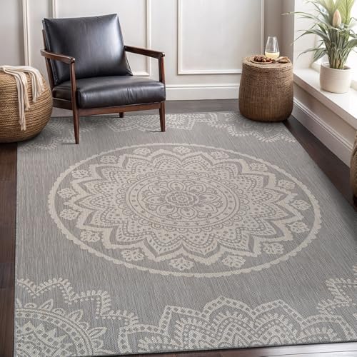 Outdoor Rug 8x10 Modern Area Rugs for Indoor and Outdoor Patios and Porches