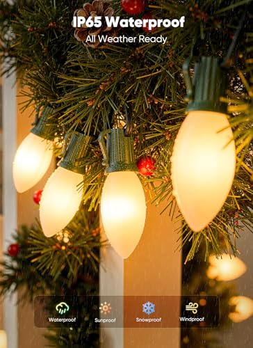 25Ft Christmas Lights Outdoor (25 Count)