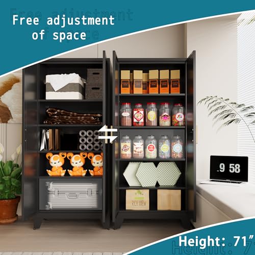 71'' Farmhouse Metal Storage Cabinet with Barn Doors