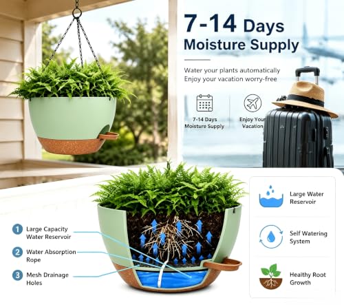 2 Pack 10 Inch Self Watering Hanging Planters for Indoor Plants
