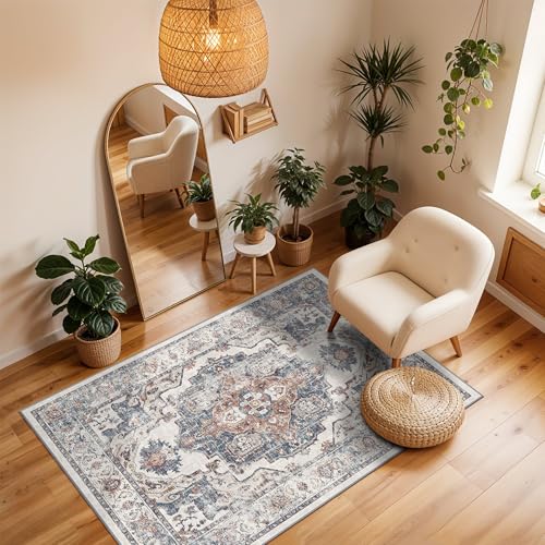 Washable 3x4 Entryway Area Rugs (12 Sq Ft)