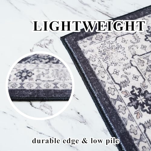 Entryway 2x4 Washable Area Rug (8 Sq Ft)
