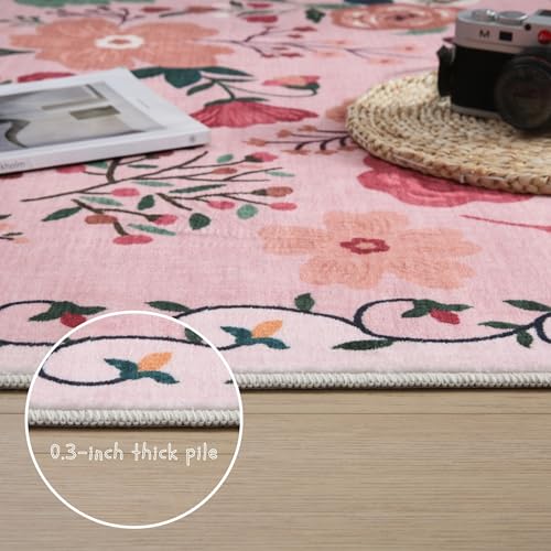 Round Area Rug 4ft Washable