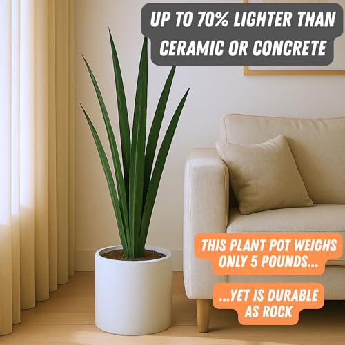 Large Planter for Indoor or Outdoor
