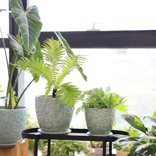 8 Inch + 6 Inch Plant Pots for Indoor Plants (2 Count)