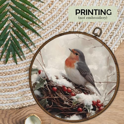 Vintage Winter Christmas Robin Bird Wall Art Decor Framed