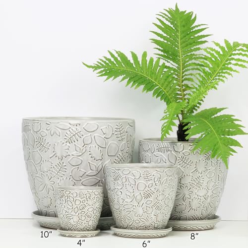 8 Inch + 6 Inch Retro Ceramic Planter Set of 2 with Drainage Hole and Saucer for Multiple Plants (2 Count)