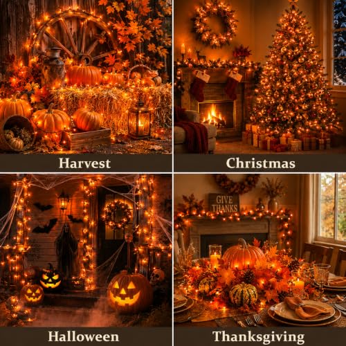 Orange Halloween Lights (50 Count)