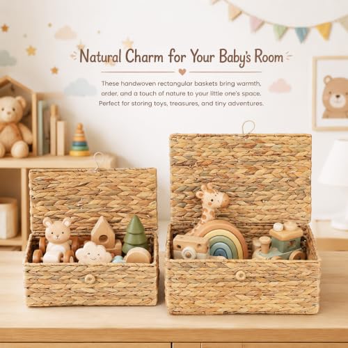 Set of 2 Rectangular Wicker Storage Bins with Lid (2 Count)
