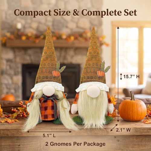 Fall Decorations for Home