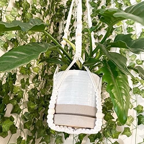 6 + 8 Inch Plant Pots