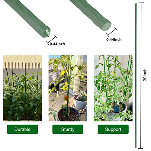 Garden Stakes (25 Count)