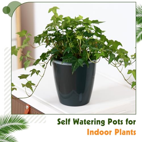 Self Watering Pots for Indoor Plants (16 Count)