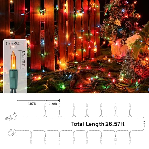 Multicolor Christmas Lights (25 Foot)
