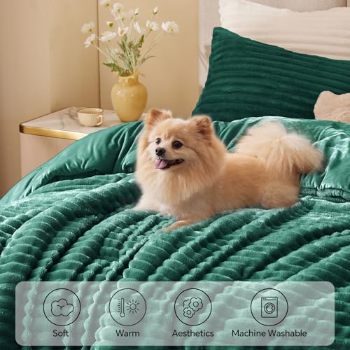 Fleece Queen Comforter Set