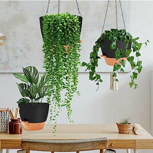 Hanging Planter (2 Count)